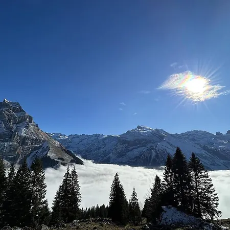 Apartman Oberbergstrasse 91b By Interhome Engelberg